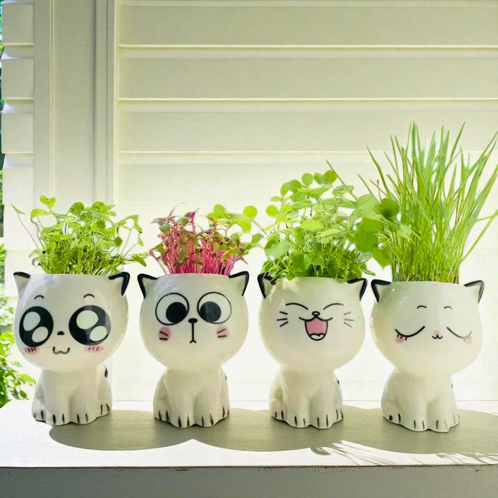 Ceramic Cat Cartoon Planters